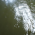 DSC03080