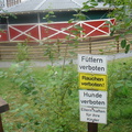 DSC03096