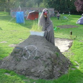 DSC03136