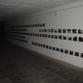 DSC03143