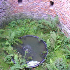 DSC03168