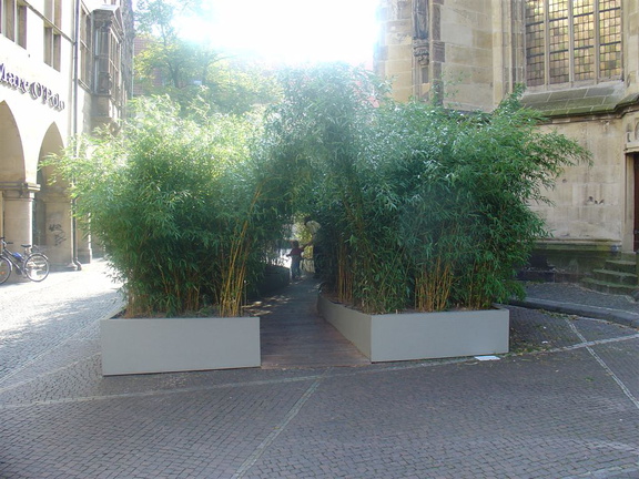 DSC03194