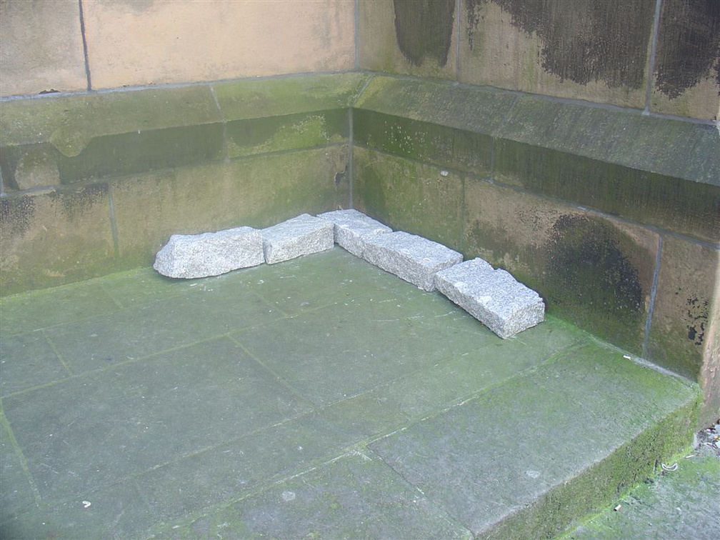 DSC03195