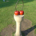DSC03211