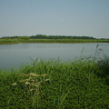 DSC00052