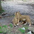 DSC00326