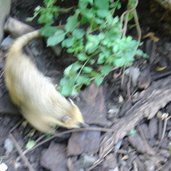 DSC00380