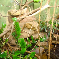 DSC00381
