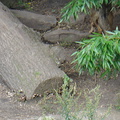 DSC00387