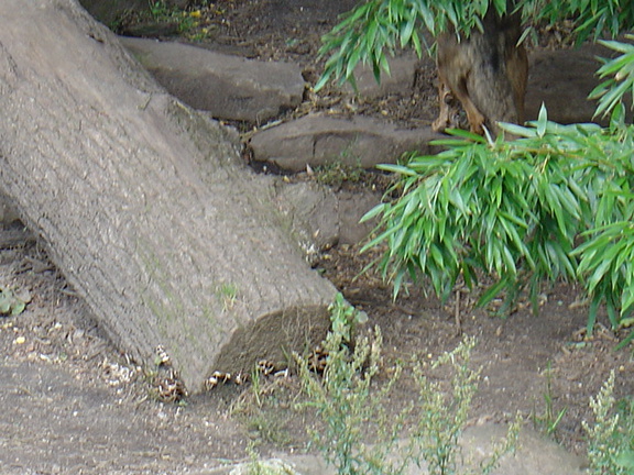 DSC00387