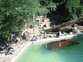 Zoo, Mühlenhof