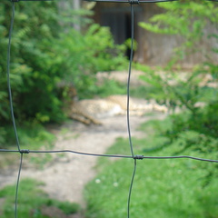 DSC05231