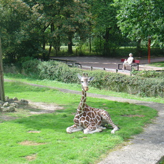DSC05234