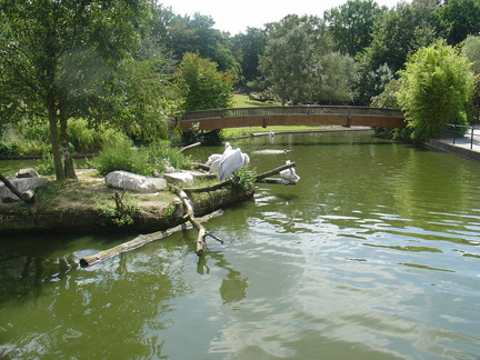 DSC05249