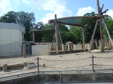 DSC05251