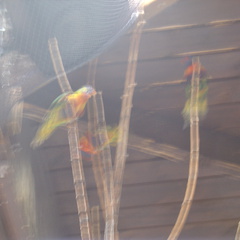 DSC05260