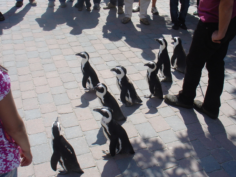 DSC05284.JPG
