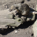 DSC05294