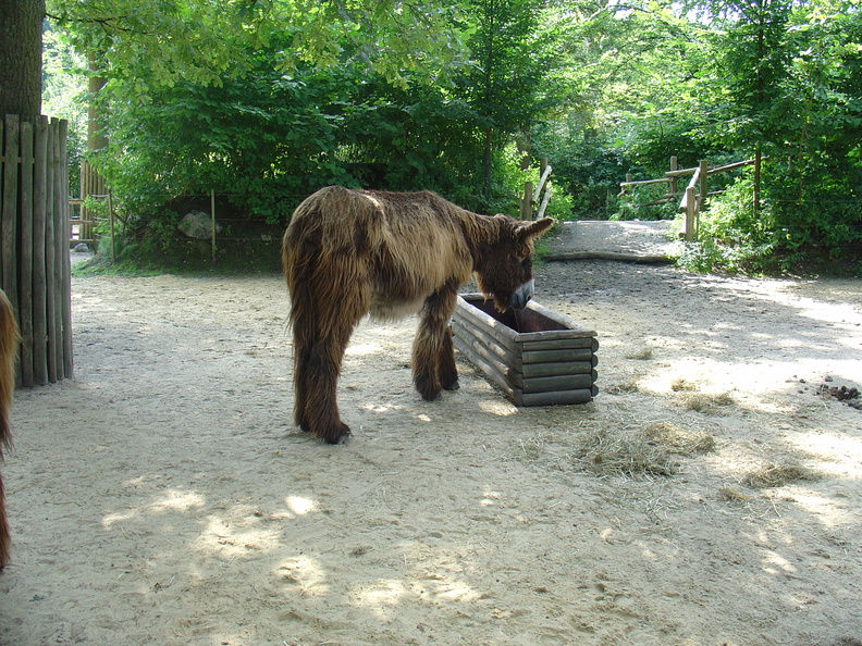 DSC05305.JPG