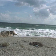 florida105