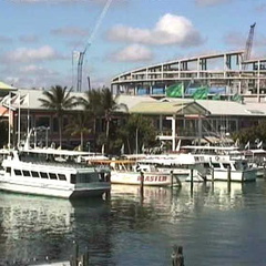 florida115