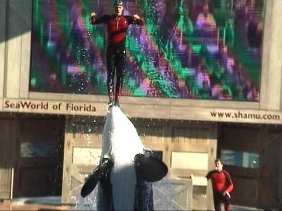 florida48
