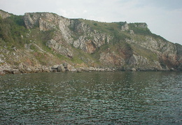Anstey Cove