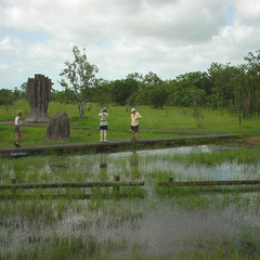 Dsc00331