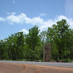 Dsc00340