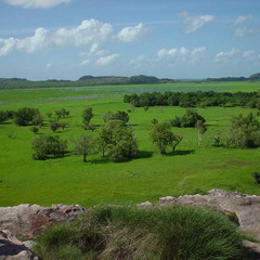 Dsc00357