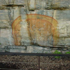 Dsc00366