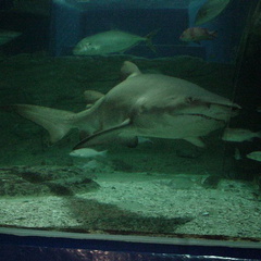 DSC00061
