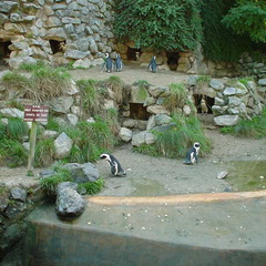 DSC00007