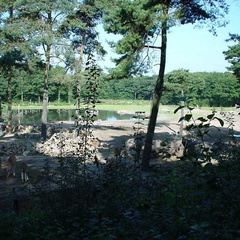 DSC00011