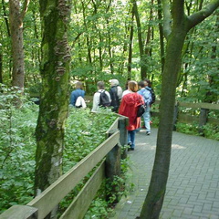 DSC00012