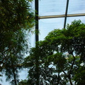 DSC00034