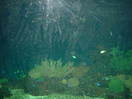 DSC00038