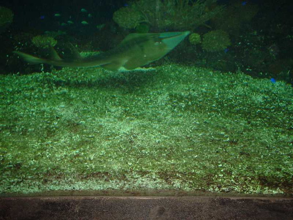 DSC00039