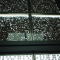 DSC00020