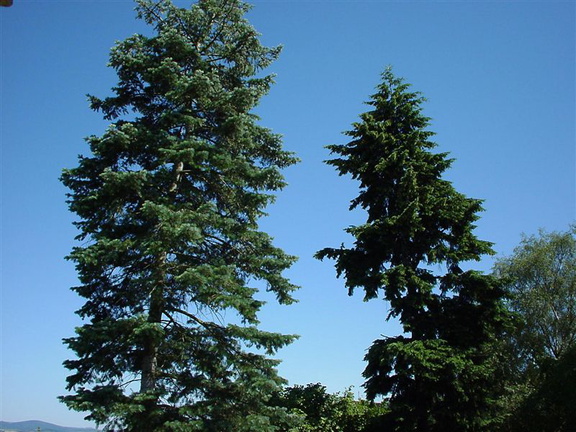 DSC00033