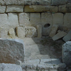 DSC00242
