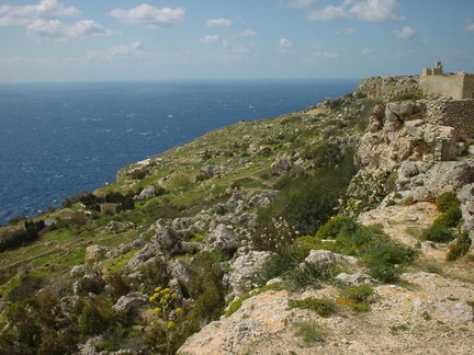 DSC00028