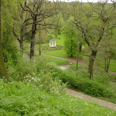 DSC00026