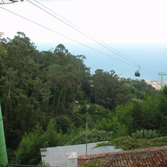 DSC00117