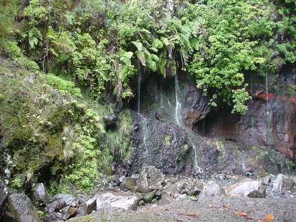 DSC00138