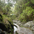 DSC00140
