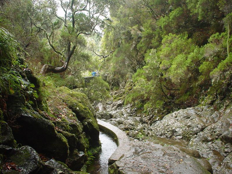 DSC00140