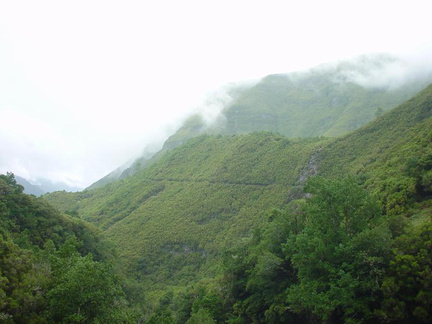 DSC00145