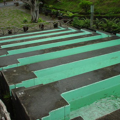 DSC00037