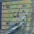 DSC01387